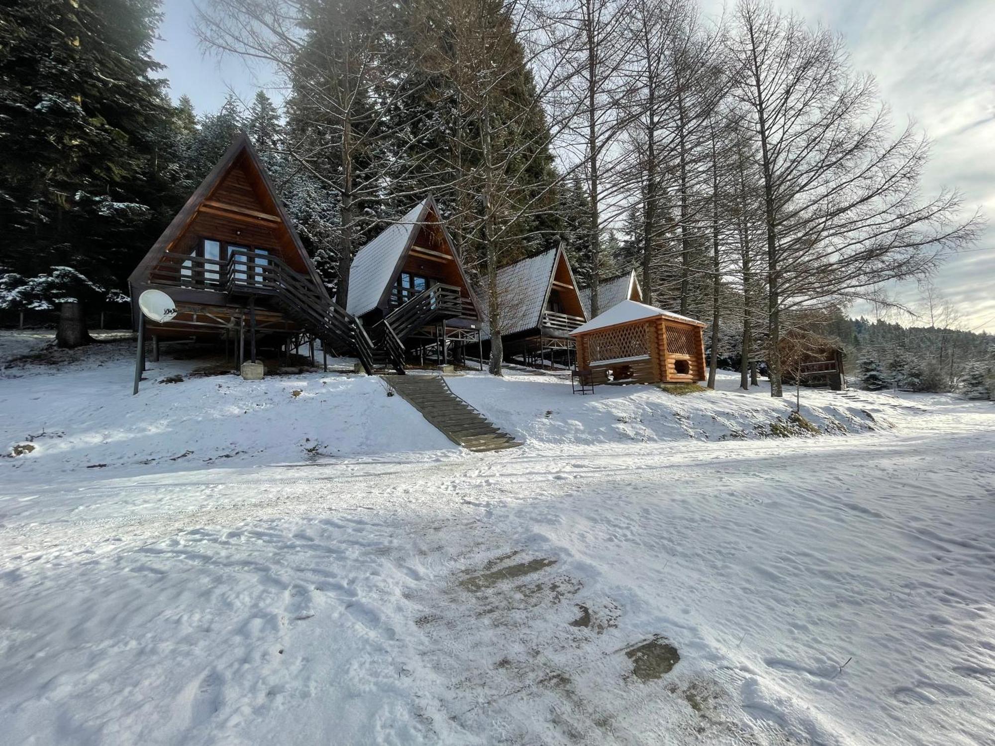 Karpatskyy Villa Rozluch Luaran gambar