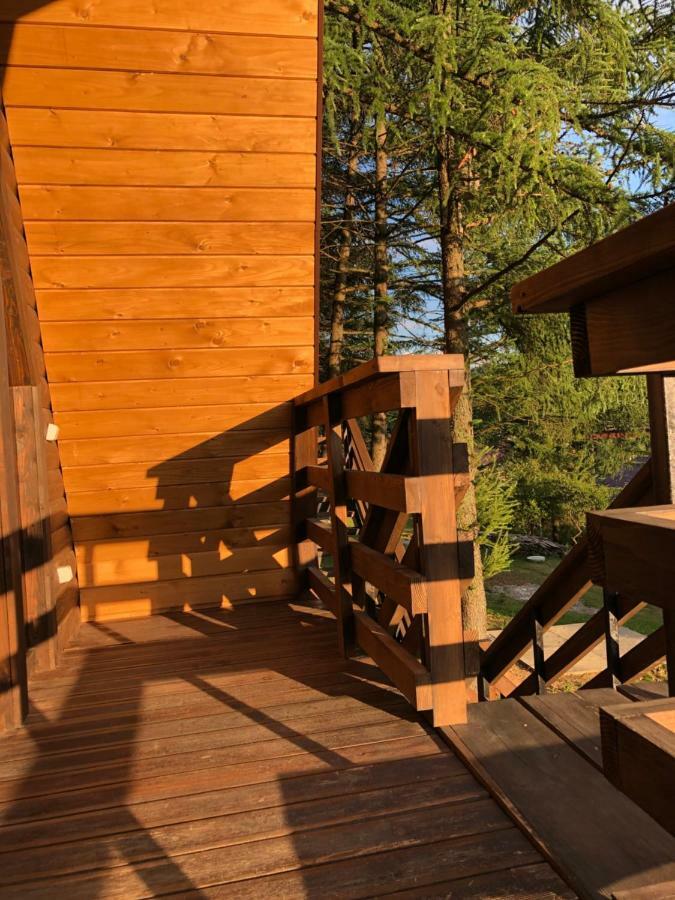 Karpatskyy Villa Rozluch Luaran gambar